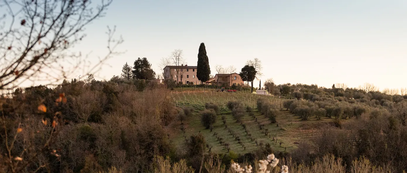 Pensieri di Cavatina